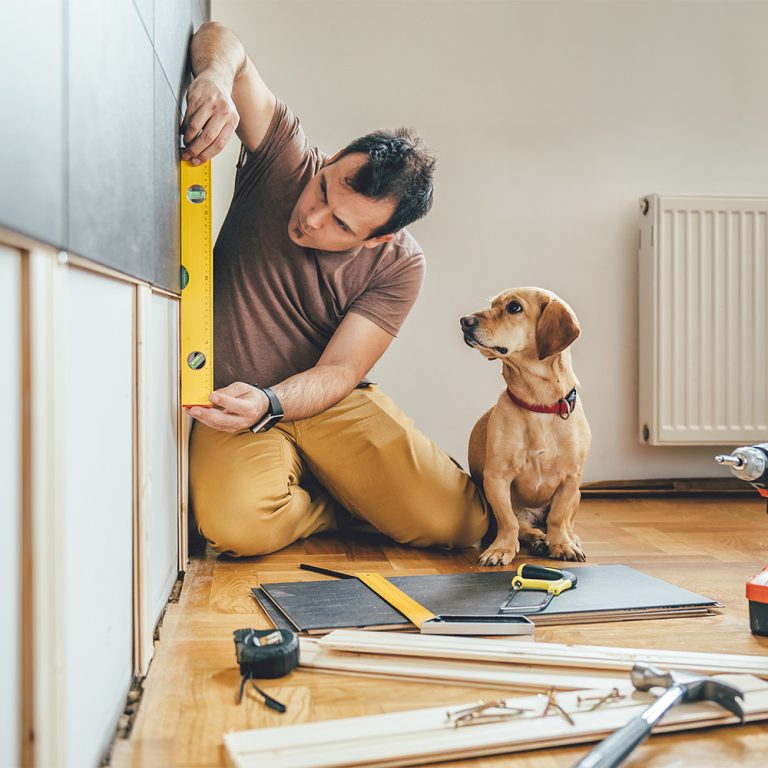 Man and dog doing home renovations